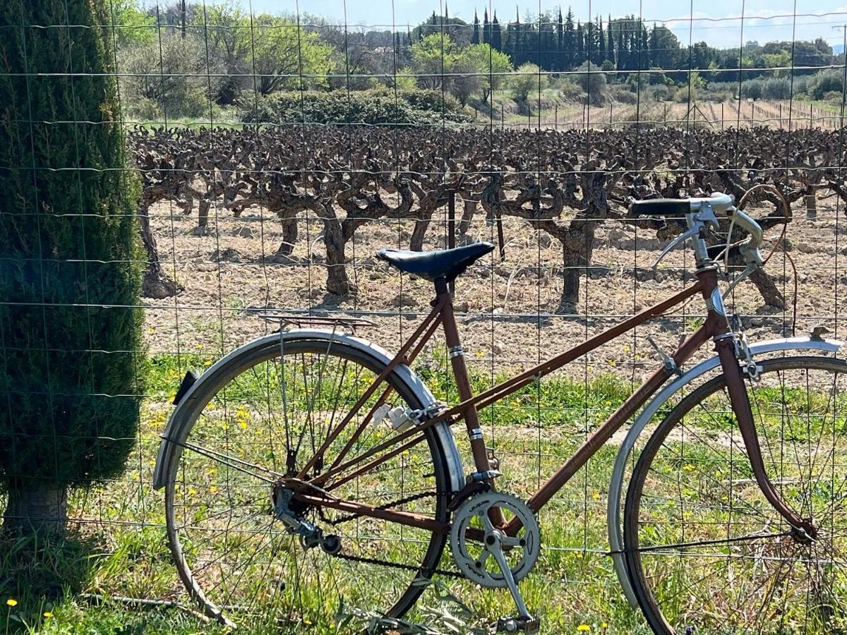 فندق Domaine La Condamine Crillon Le Brave المظهر الخارجي الصورة