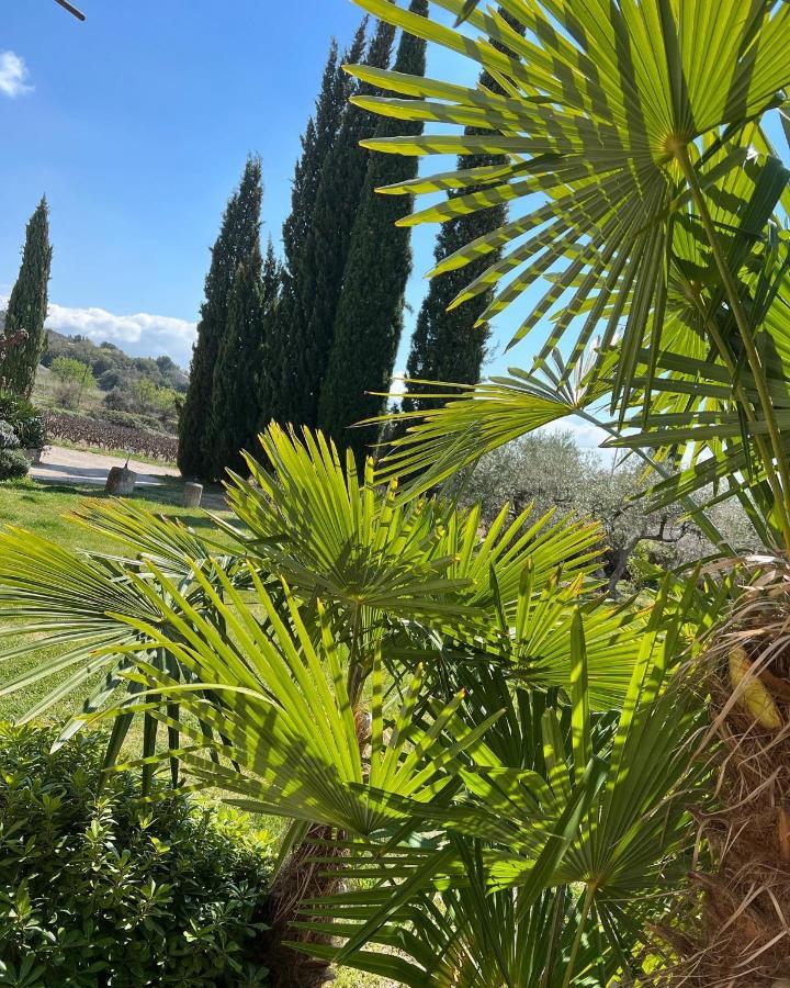 فندق Domaine La Condamine Crillon Le Brave المظهر الخارجي الصورة
