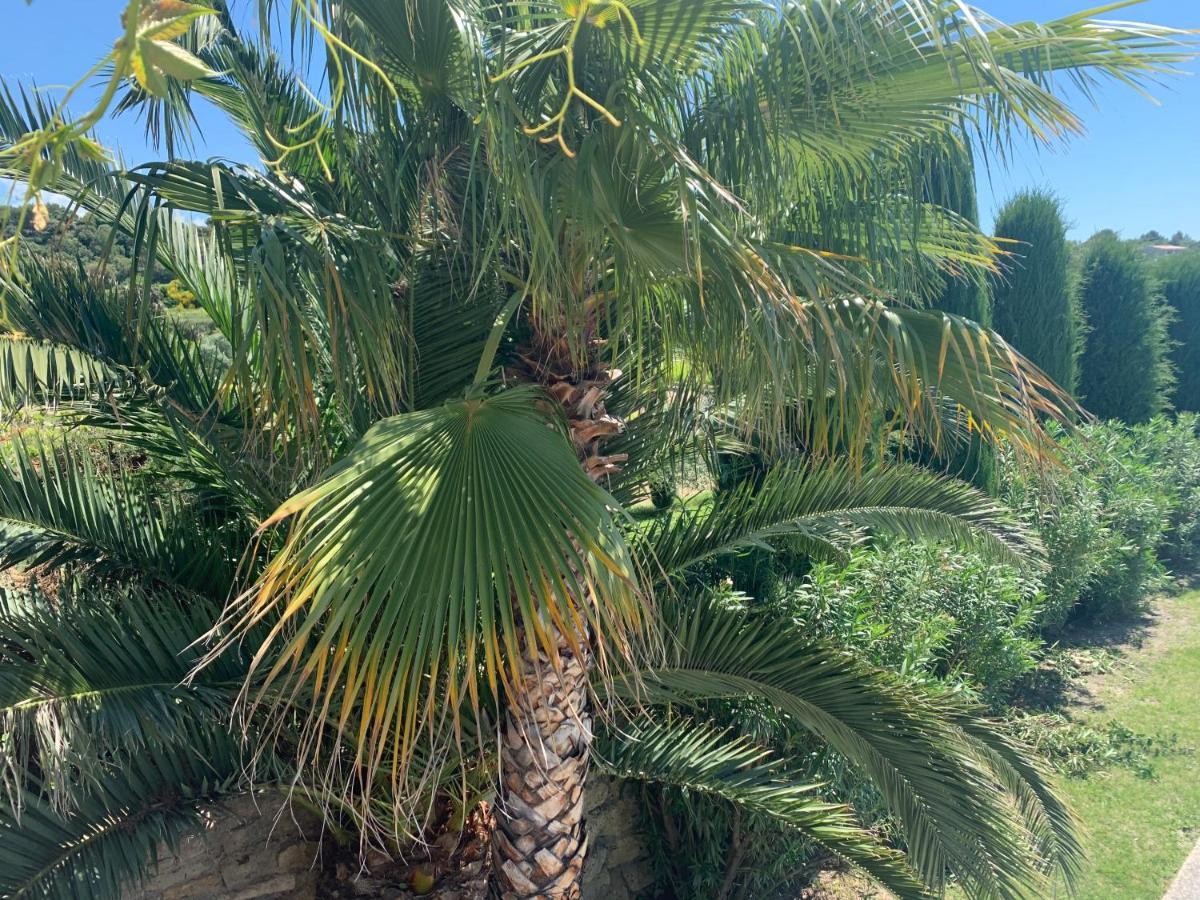 فندق Domaine La Condamine Crillon Le Brave المظهر الخارجي الصورة